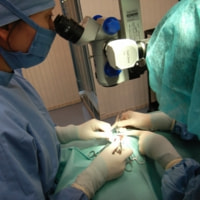 手術の様子